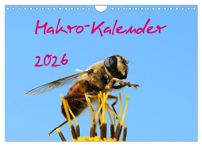 Makro-Kalender 2026 (Wandkalender 2026 DIN A4 quer) CALVENDO Monatskalender