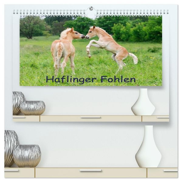 Haflinger Fohlen (hochwertiger Premium Wandkalender 2026 DIN A2 quer) Kunstdruck in Hochglanz