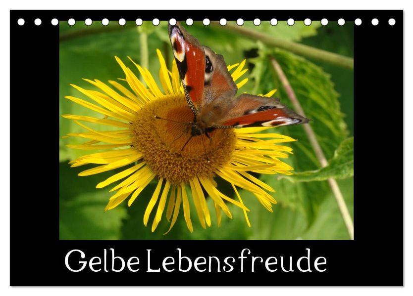 Gelbe Lebensfreude (Tischkalender 2026 DIN A5 quer) CALVENDO Monatskalender