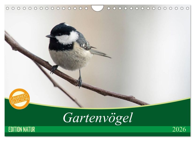 Gartenvögel (Wandkalender 2026 DIN A4 quer) CALVENDO Monatskalender