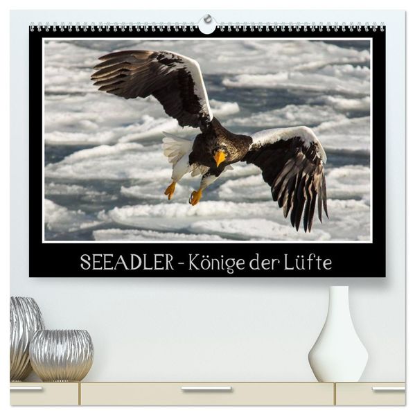 Seeadler - Könige der Lüfte (hochwertiger Premium Wandkalender 2026 DIN A2 quer) Kunstdruck in Hochglanz
