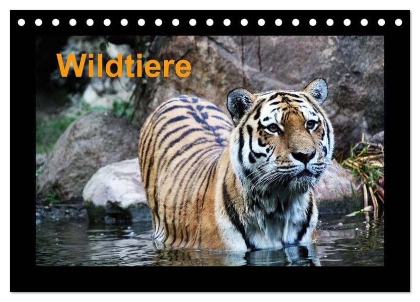 Wildtiere (Tischkalender 2026 DIN A5 quer) CALVENDO Monatskalender