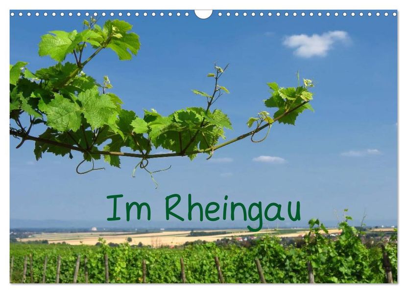 Im Rheingau (Wandkalender 2026 DIN A3 quer) CALVENDO Monatskalender