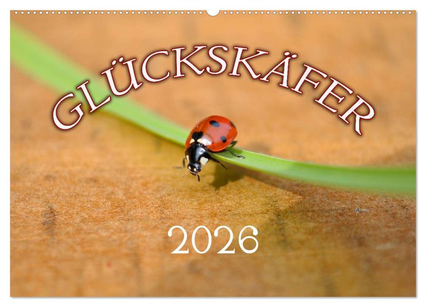 Marienkäfer 2026 (Wandkalender 2026 DIN A2 quer) CALVENDO Monatskalender