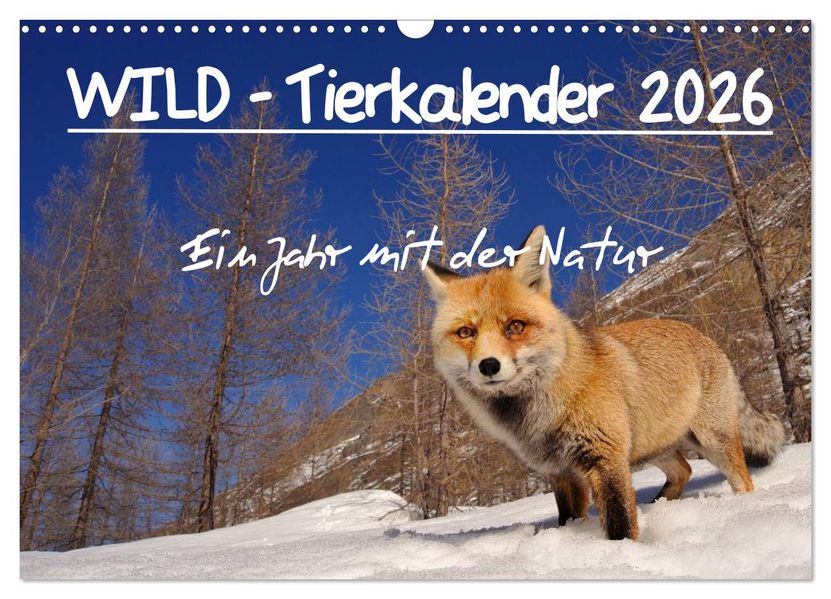 WILD - Tierkalender 2026 (Wandkalender 2026 DIN A3 quer) CALVENDO Monatskalender