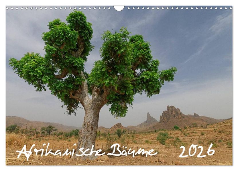 Afrikanische Bäume (Wandkalender 2026 DIN A3 quer) CALVENDO Monatskalender