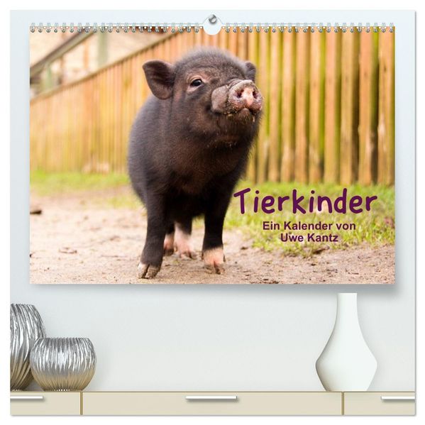 Tierkinder (hochwertiger Premium Wandkalender 2026 DIN A2 quer) Kunstdruck in Hochglanz
