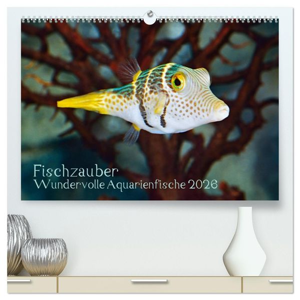Fischzauber - Wundervolle Aquarienfische (hochwertiger Premium Wandkalender 2026 DIN A2 quer) Kunstdruck in Hochglanz