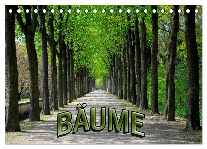 Bäume 2026 (Tischkalender 2026 DIN A5 quer) CALVENDO Monatskalender