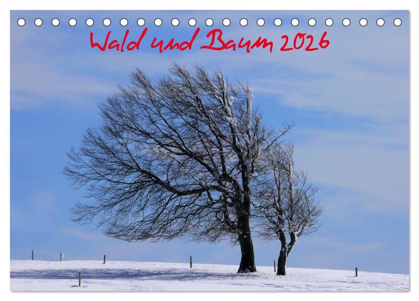 Wald und Baum 2026 (Tischkalender 2026 DIN A5 quer) CALVENDO Monatskalender