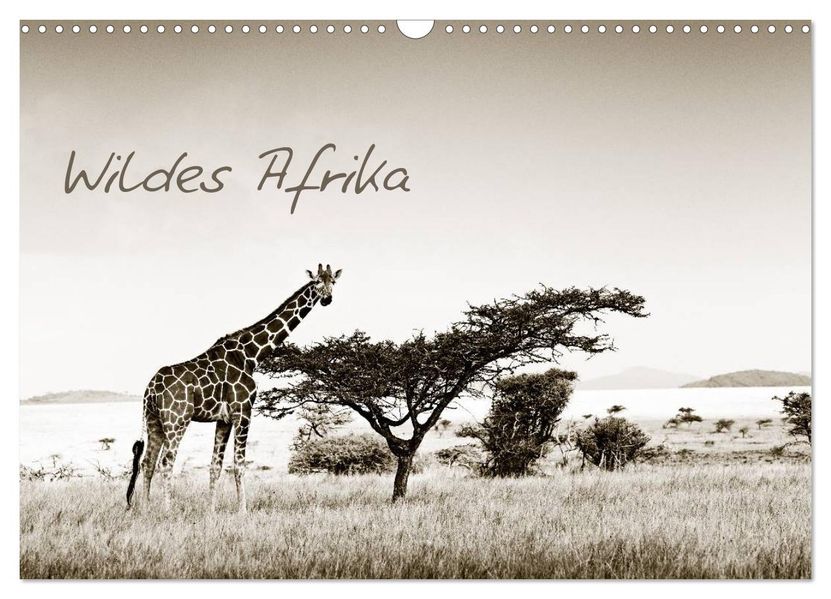 Wildes Afrika (Wandkalender 2026 DIN A3 quer) CALVENDO Monatskalender