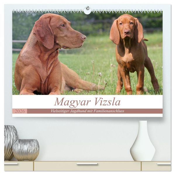 Magyar Vizsla - Vielseitiger Jagdhund mit Familienanschluss (hochwertiger Premium Wandkalender 2026 DIN A2 quer) Kunstdruck in Hochglanz