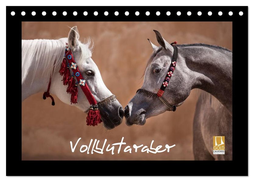 Vollblutaraber (Tischkalender 2026 DIN A5 quer) CALVENDO Monatskalender