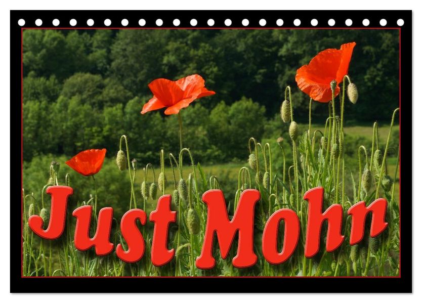 Just Mohn (Tischkalender 2026 DIN A5 quer) CALVENDO Monatskalender
