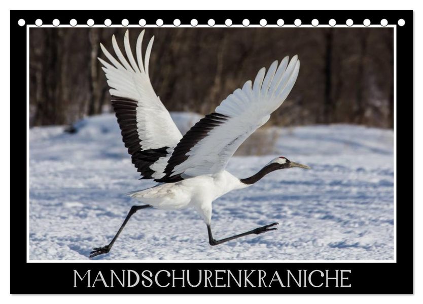 Mandschurenkraniche (Tischkalender 2026 DIN A5 quer) CALVENDO Monatskalender