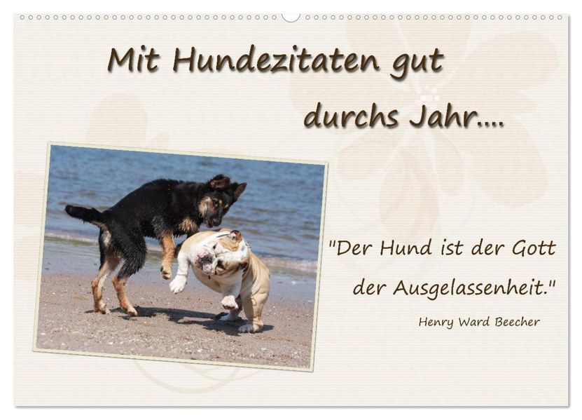 Mit Hundezitaten gut durchs Jahr (Wandkalender 2026 DIN A2 quer) CALVENDO Monatskalender