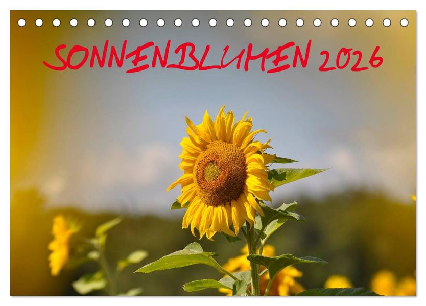 Sonnenblumen 2026 (Tischkalender 2026 DIN A5 quer) CALVENDO Monatskalender