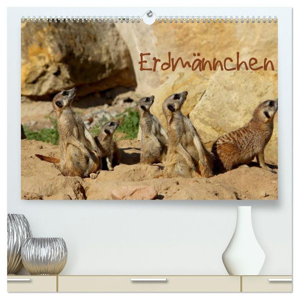Erdmännchen (hochwertiger Premium Wandkalender 2026 DIN A2 quer) Kunstdruck in Hochglanz
