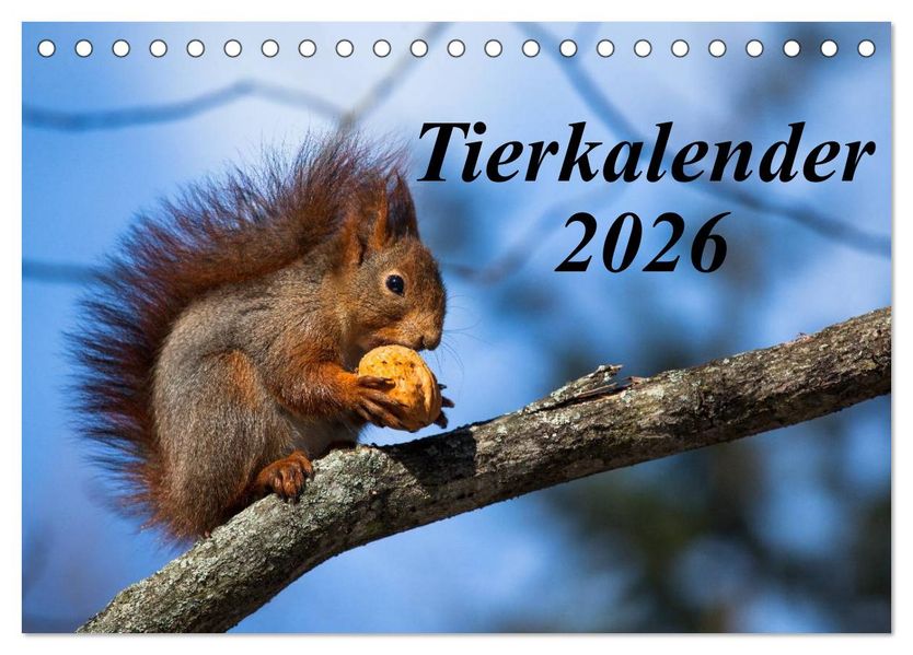 Tierkalender 2026 (Tischkalender 2026 DIN A5 quer) CALVENDO Monatskalender