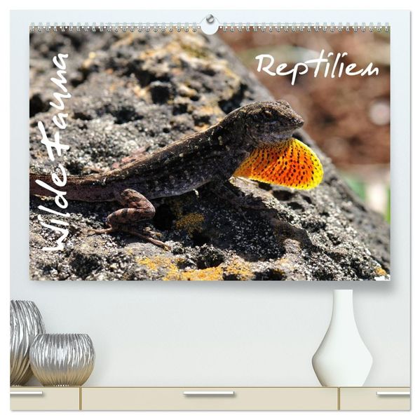 Wilde Fauna - Reptilien (hochwertiger Premium Wandkalender 2026 DIN A2 quer) Kunstdruck in Hochglanz
