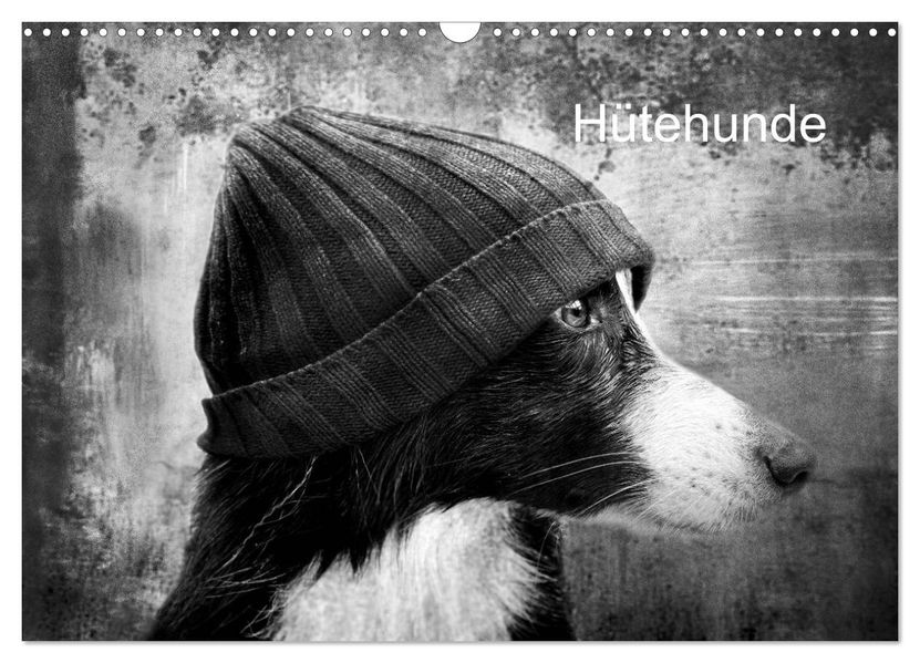Hütehunde (Wandkalender 2026 DIN A3 quer) CALVENDO Monatskalender