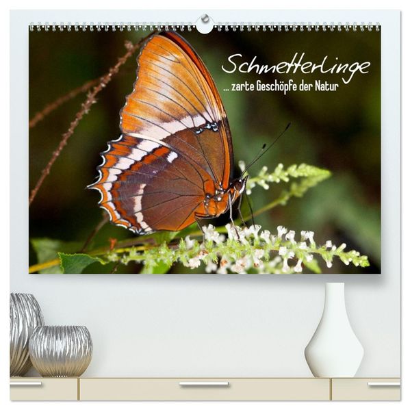 Schmetterlinge - zarte Geschöpfe der Natur (hochwertiger Premium Wandkalender 2026 DIN A2 quer) Kunstdruck in Hochglanz