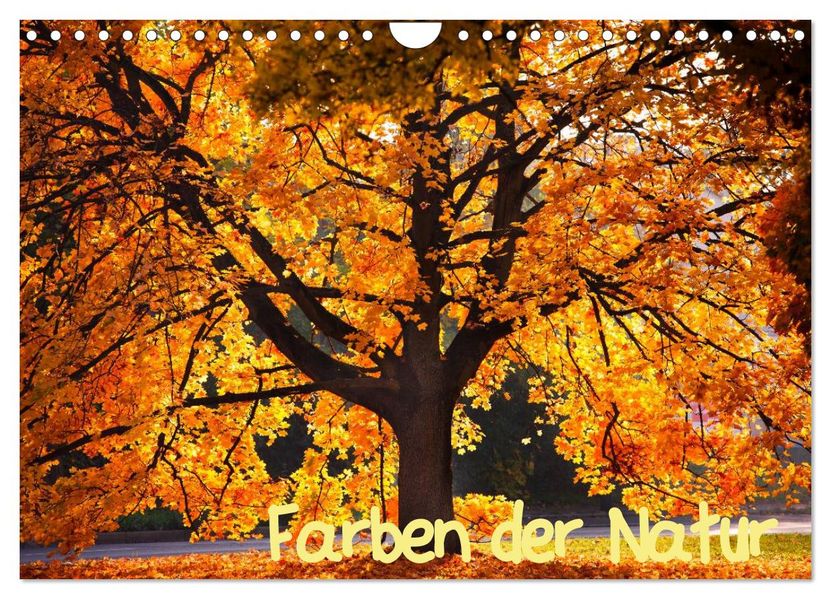 Farben der Natur (Wandkalender 2026 DIN A4 quer) CALVENDO Monatskalender
