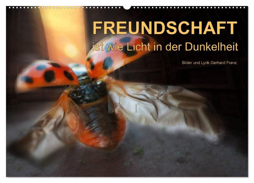 Freundschaft (Wandkalender 2026 DIN A2 quer) CALVENDO Monatskalender