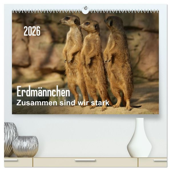Erdmännchen - Zusammen sind wir stark / CH-Version (hochwertiger Premium Wandkalender 2026 DIN A2 quer) Kunstdruck in Hochglanz
