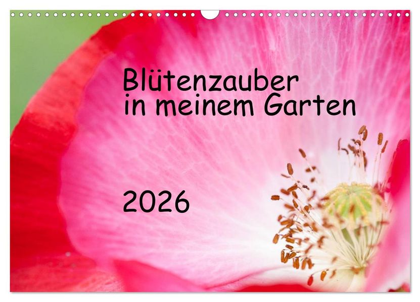 Blütenzauber in meinem Garten (Wandkalender 2026 DIN A3 quer) CALVENDO Monatskalender