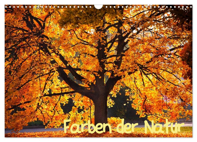 Farben der Natur (Wandkalender 2026 DIN A3 quer) CALVENDO Monatskalender