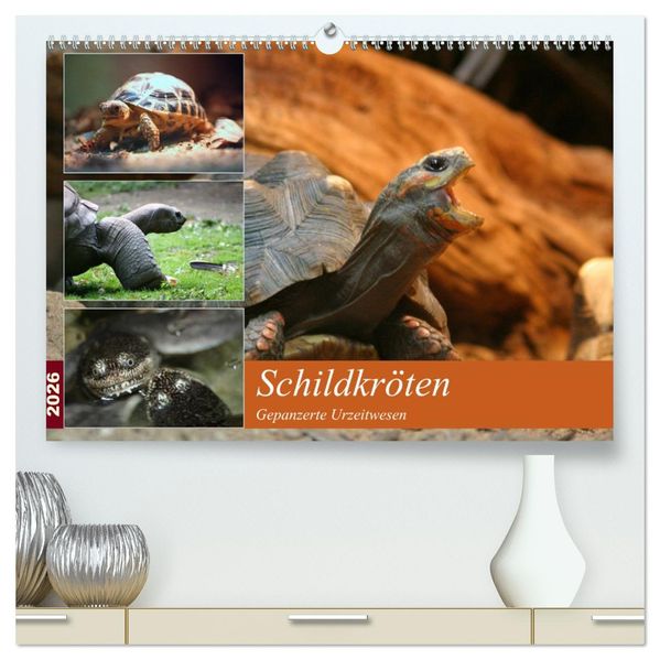 Schildkröten - Gepanzerte Urzeitwesen (hochwertiger Premium Wandkalender 2026 DIN A2 quer) Kunstdruck in Hochglanz