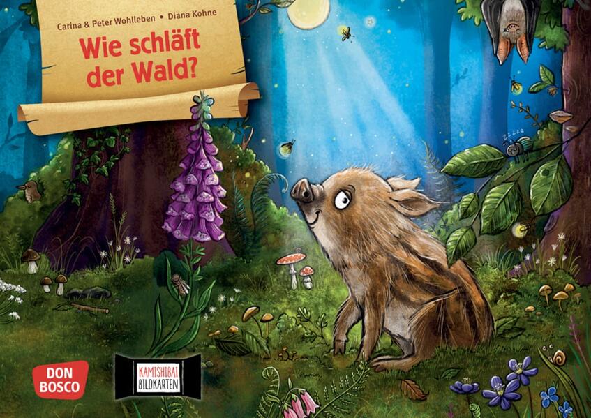 Wie schläft der Wald? Kamishibai Bildkartenset