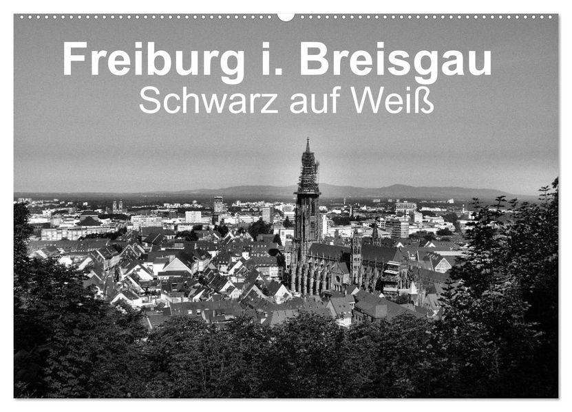 Freiburg i. Breisgau Schwarz auf Weiß (Wandkalender 2026 DIN A2 quer) CALVENDO Monatskalender