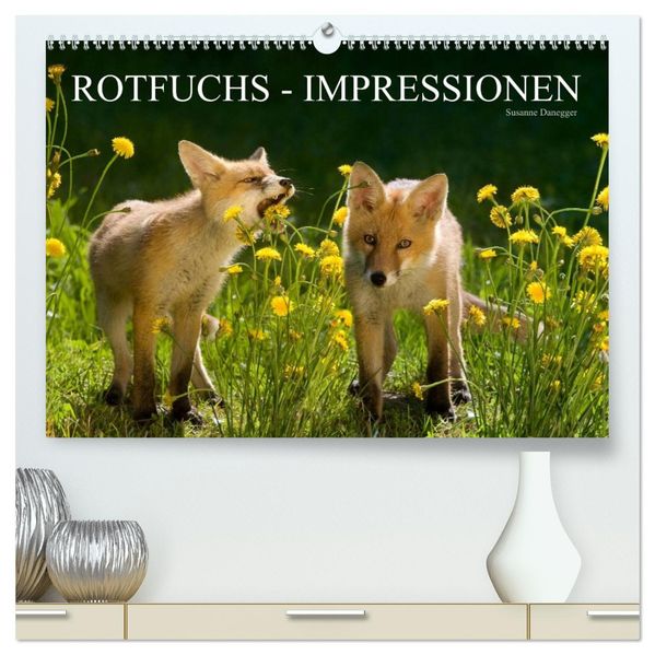 Rotfuchs - Impressionen (hochwertiger Premium Wandkalender 2026 DIN A2 quer) Kunstdruck in Hochglanz