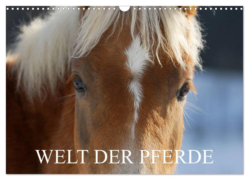 Welt der Pferde (Wandkalender 2026 DIN A3 quer) CALVENDO Monatskalender