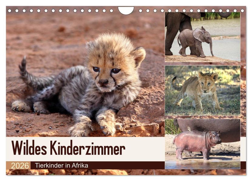 Wildes Kinderzimmer - Tierkinder in Afrika (Wandkalender 2026 DIN A4 quer) CALVENDO Monatskalender