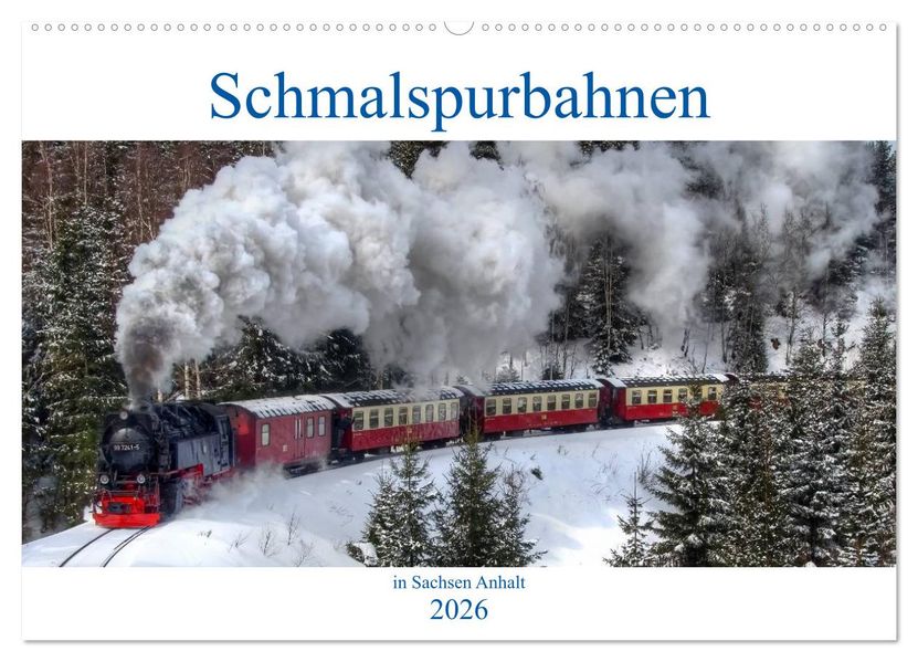 Schmalspurbahnen in Sachsen Anhalt (Wandkalender 2026 DIN A2 quer) CALVENDO Monatskalender