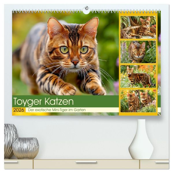 Toyger Katzen. Der exotische Mini-Tiger im Garten (hochwertiger Premium Wandkalender 2026 DIN A2 quer) Kunstdruck in Hochglanz
