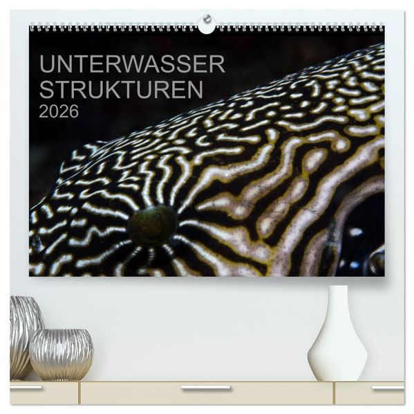 Unterwasser Strukuren (hochwertiger Premium Wandkalender 2026 DIN A2 quer) Kunstdruck in Hochglanz