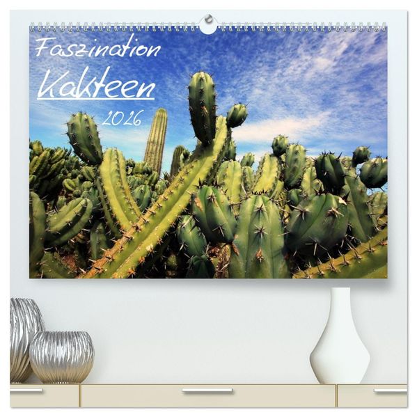 Faszination Kakteen (hochwertiger Premium Wandkalender 2026 DIN A2 quer) Kunstdruck in Hochglanz