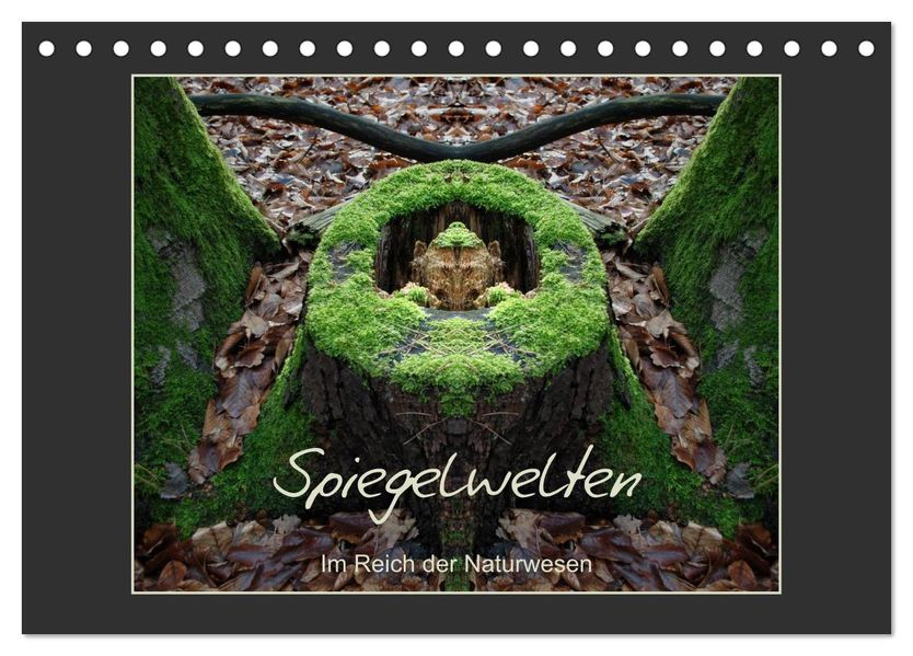 Spiegelwelten - Im Reich der Naturwesen (Tischkalender 2026 DIN A5 quer) CALVENDO Monatskalender