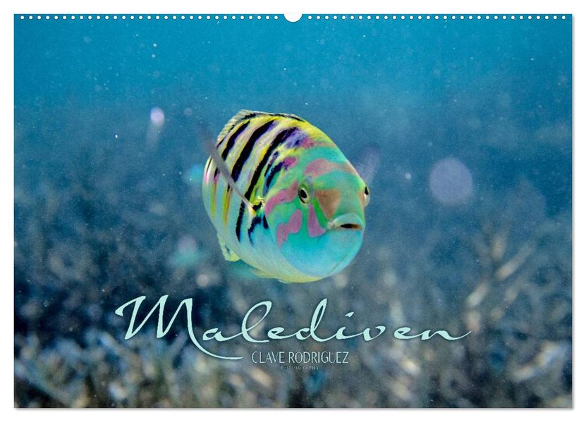 Unterwasserwelt der Malediven II (Wandkalender 2026 DIN A2 quer) CALVENDO Monatskalender