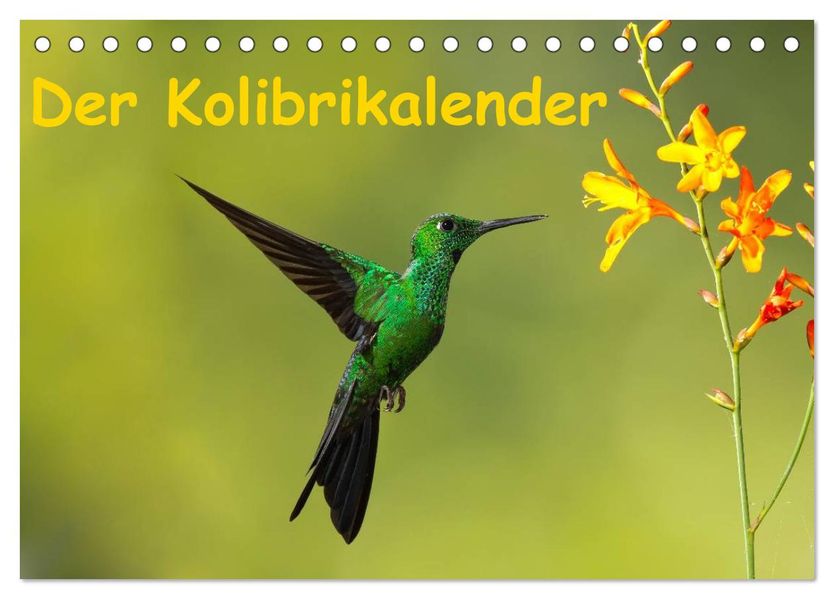 Der Kolibrikalender (Tischkalender 2026 DIN A5 quer) CALVENDO Monatskalender