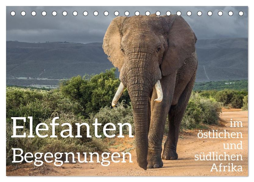 Elefanten Begegnungen im östlichen und südlichen Afrika (Tischkalender 2026 DIN A5 quer) CALVENDO Monatskalender