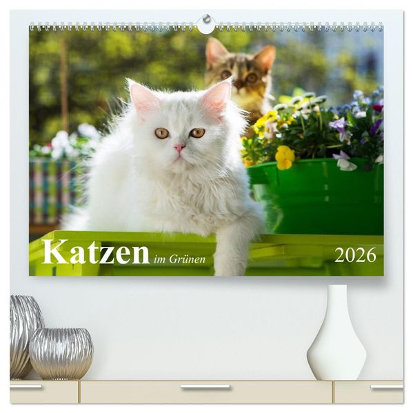 Katzen im Grünen (hochwertiger Premium Wandkalender 2026 DIN A2 quer) Kunstdruck in Hochglanz