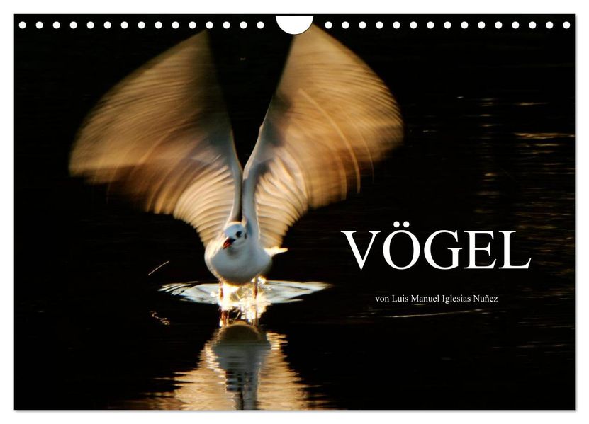 VÖGEL (Wandkalender 2026 DIN A4 quer) CALVENDO Monatskalender