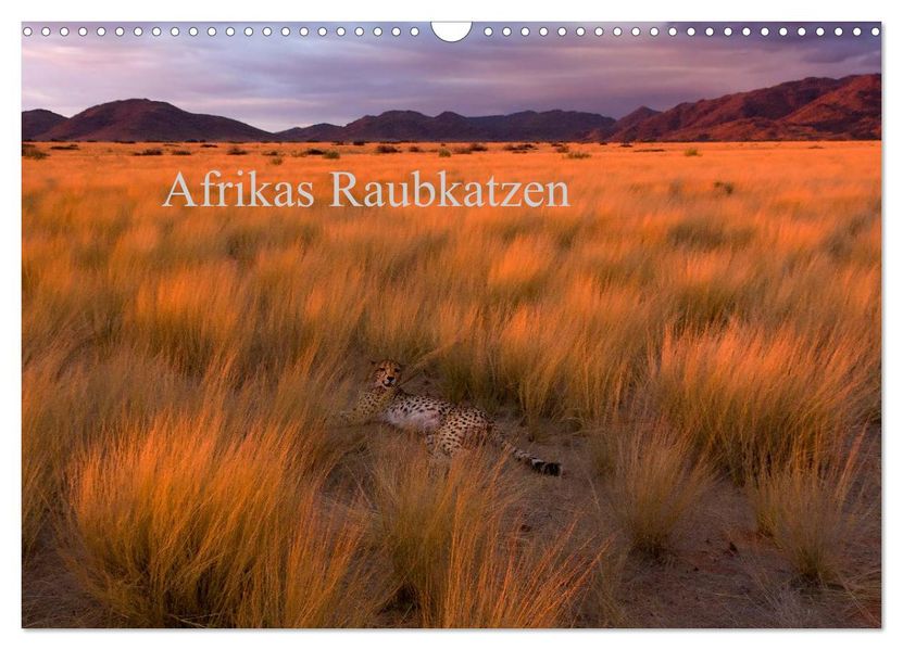 Afrikas Raubkatzen (Wandkalender 2026 DIN A3 quer) CALVENDO Monatskalender