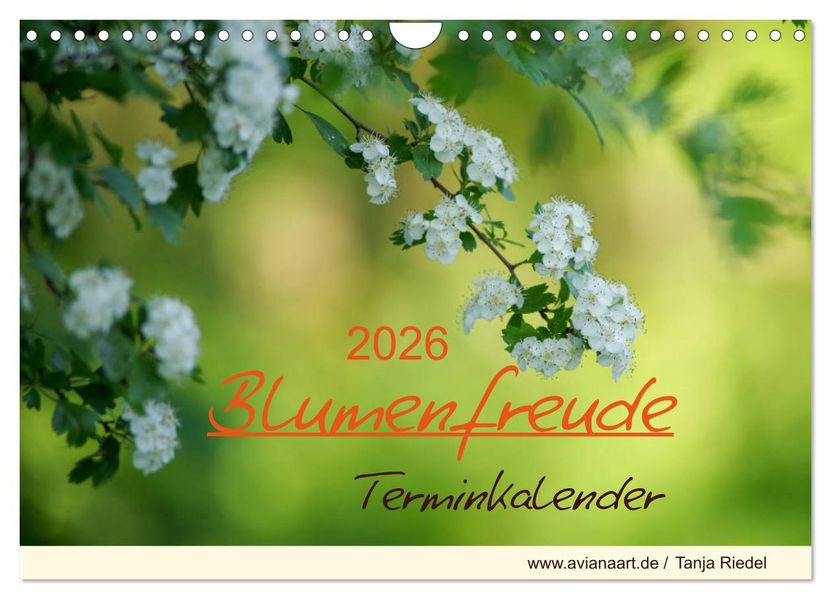 Blumenfreude Terminkalender (Wandkalender 2026 DIN A4 quer) CALVENDO Monatskalender