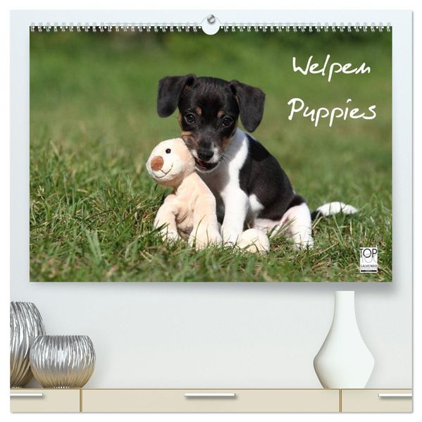 Welpen - Puppies (hochwertiger Premium Wandkalender 2026 DIN A2 quer) Kunstdruck in Hochglanz